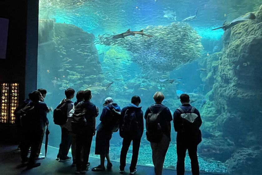 キャンパスライフPhoto