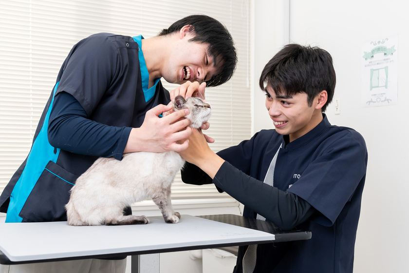 キャンパスライフPhoto