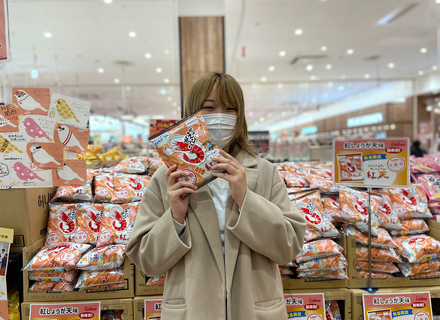 大阪アニメ・声優＆ｅスポーツ専門学校の特長１