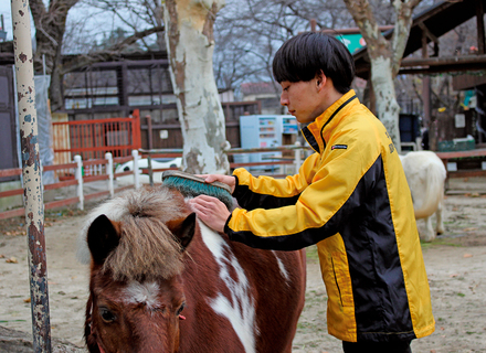 国際ペット総合専門学校の特長１
