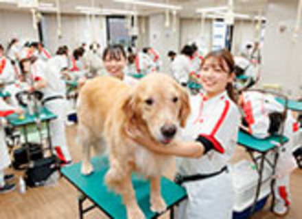 横浜動物専門学校の特長２