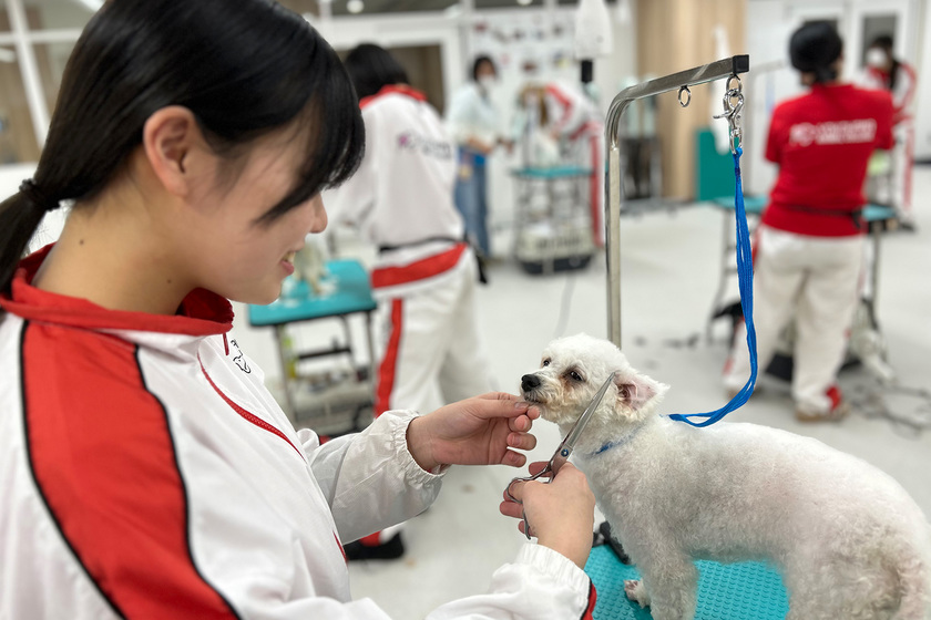 キャンパスライフPhoto