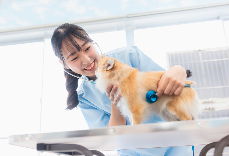 新潟ペット動物専門学校の風景