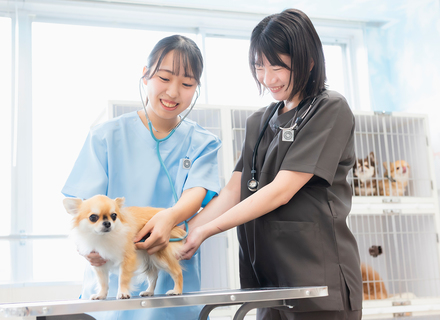 新潟ペット動物専門学校の特長２