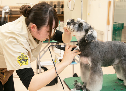 中央動物総合専門学校の特長１