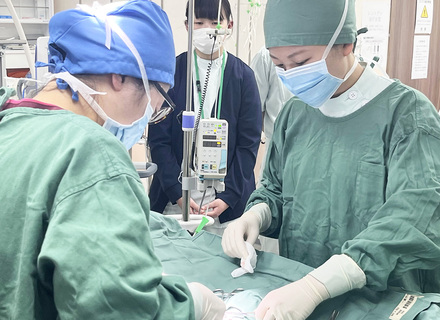 中央動物総合専門学校の特長２