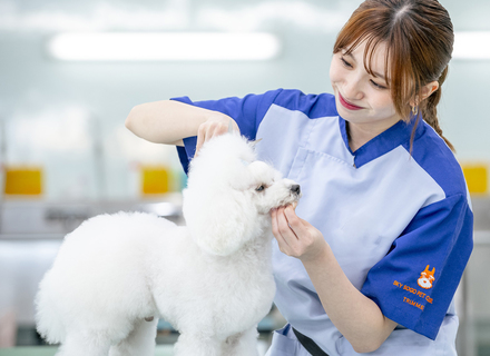 スカイ総合ペット専門学校の特長１