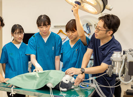 大阪ブレーメン動物専門学校の特長１
