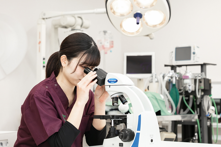 キャンパスライフPhoto