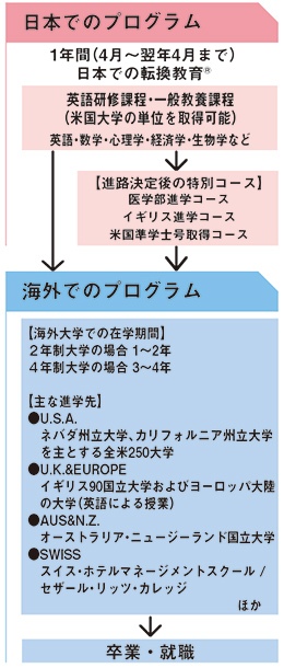 留学までのプロセス