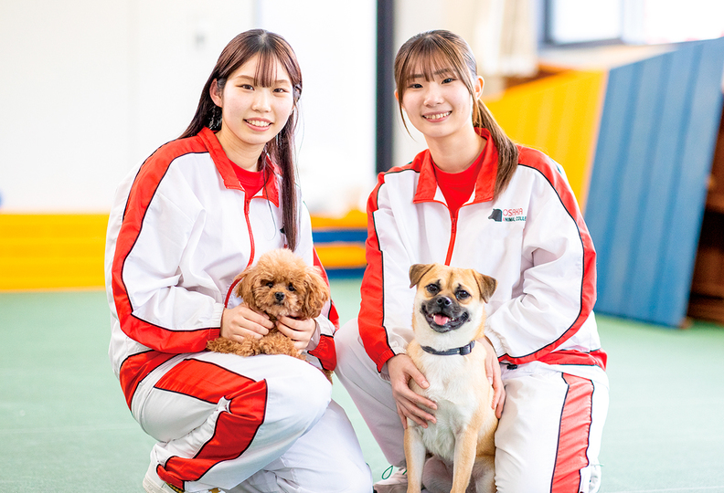 立志舎札幌ペット保育＆動物看護専門学校の風景