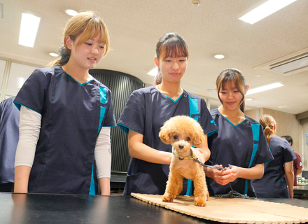 立志舎札幌ペット保育＆動物看護専門学校の特長１