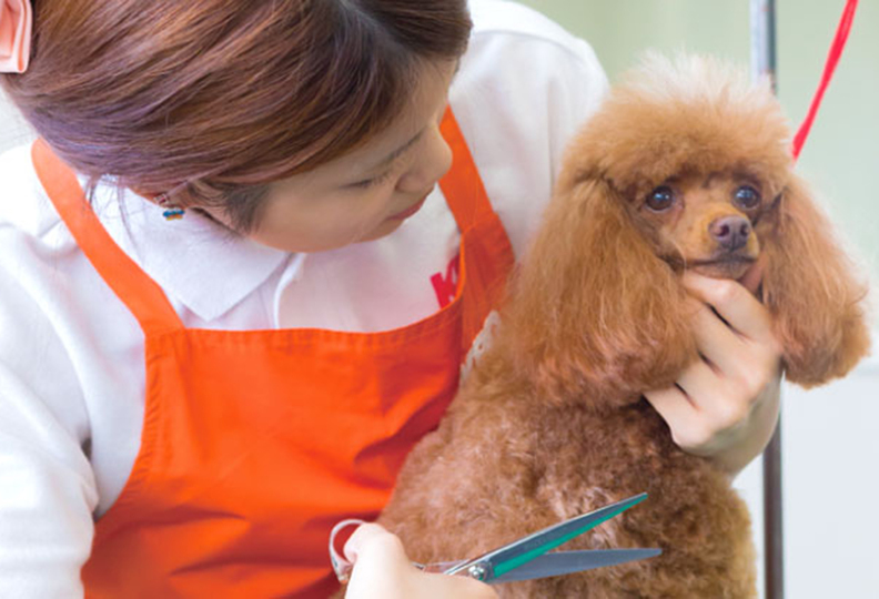 国際ペット専門学校　金沢の風景