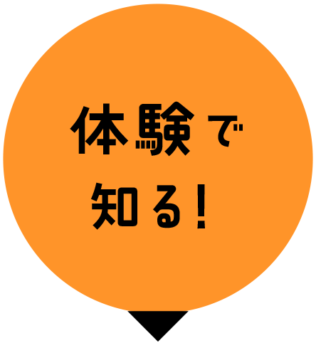体験で知る！