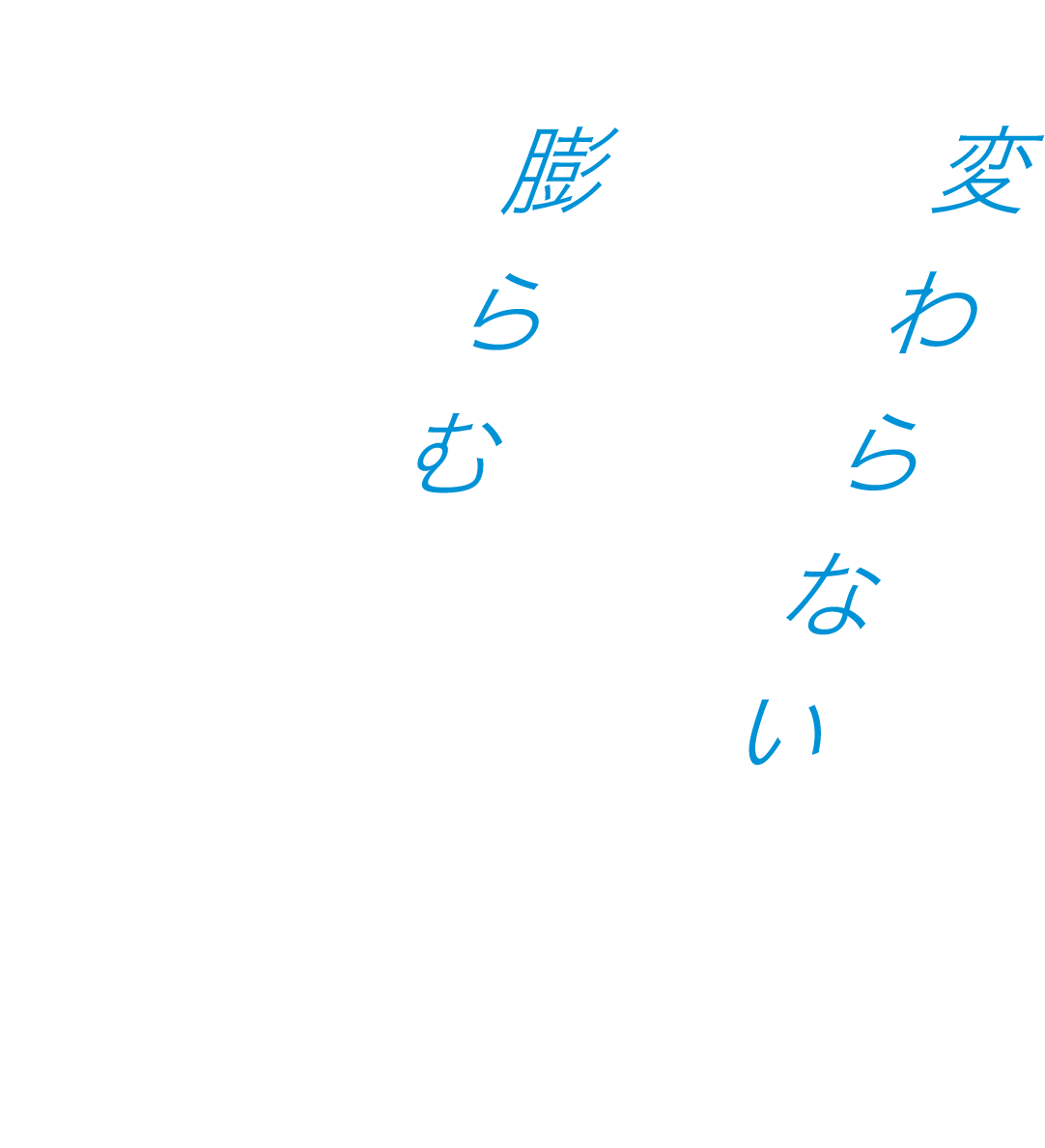 変わらない想いと、膨らむバネへの想い。