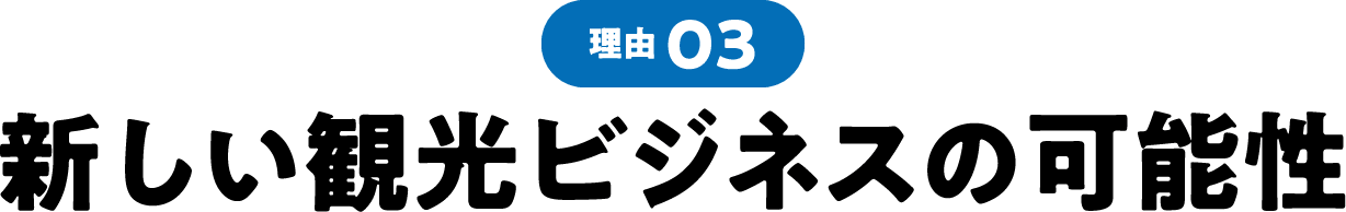理由03 新しい観光ビジネスの可能性