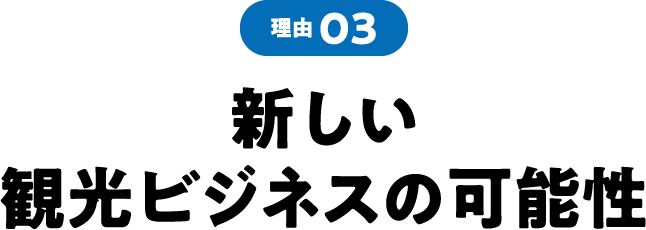 理由03 新しい観光ビジネスの可能性
