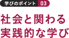 学びのポイント 03 社会と関わる実践的な学び