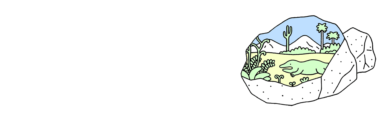 数学・物理・化学・宇宙まで。サイエンスの源を学ぶ