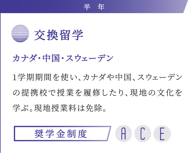 半年 交換留学 カナダ・中国・スウェーデン