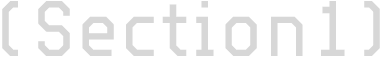 Section1