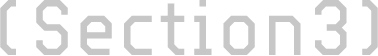 Section3