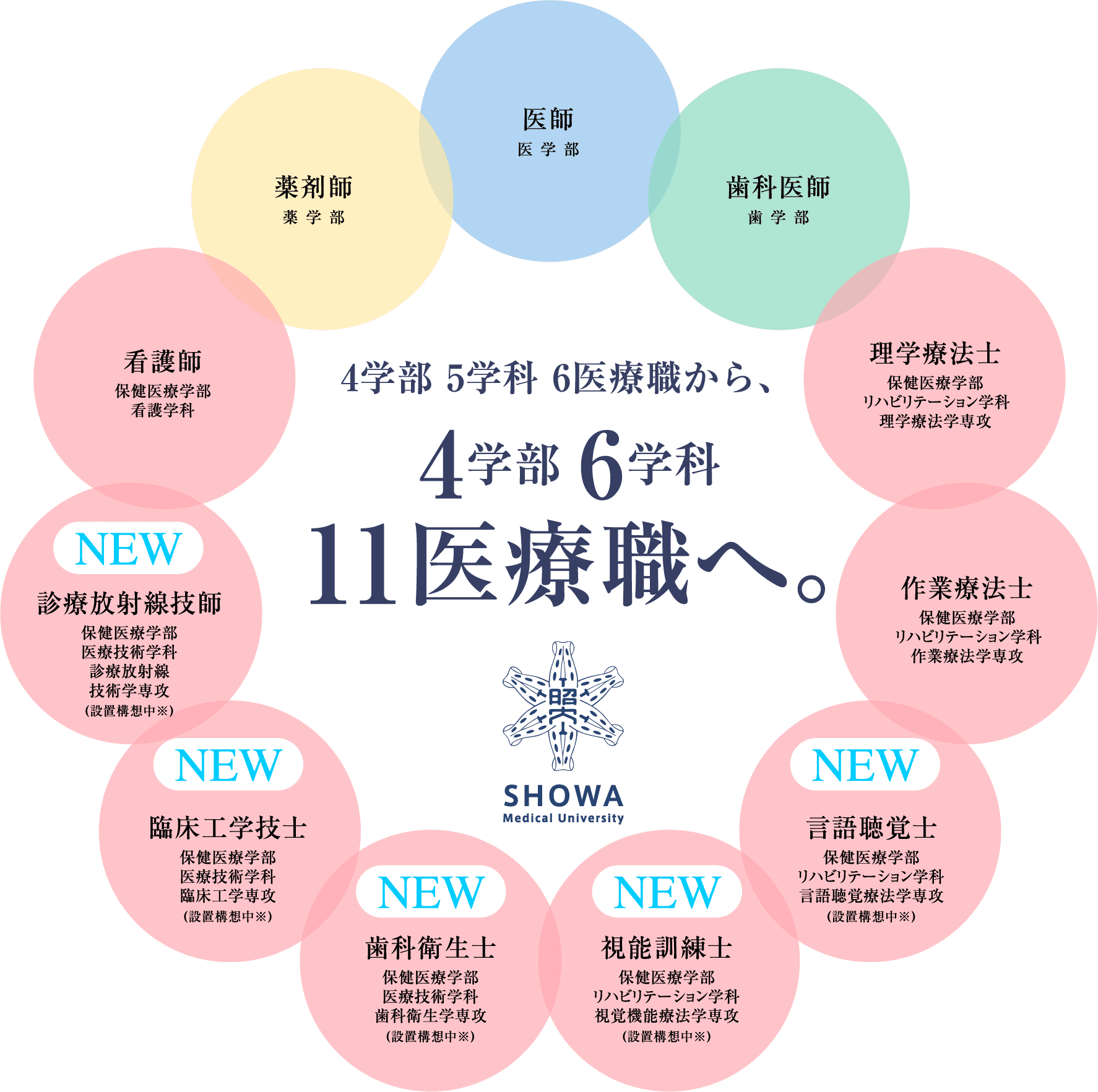 2027年4月より 11職種を目指せる医系総合大学に