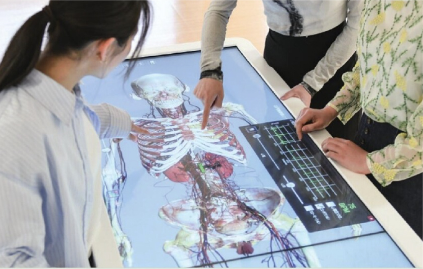 人体のしくみを深く学べる「3Dバーチャル解剖台」