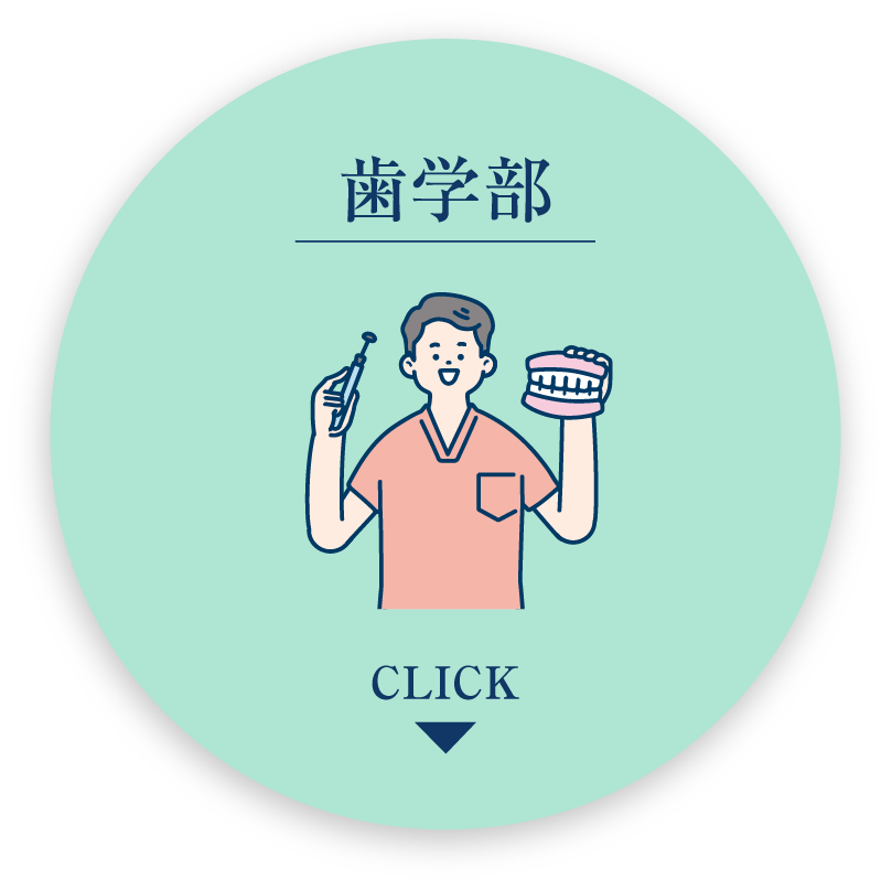 歯学部