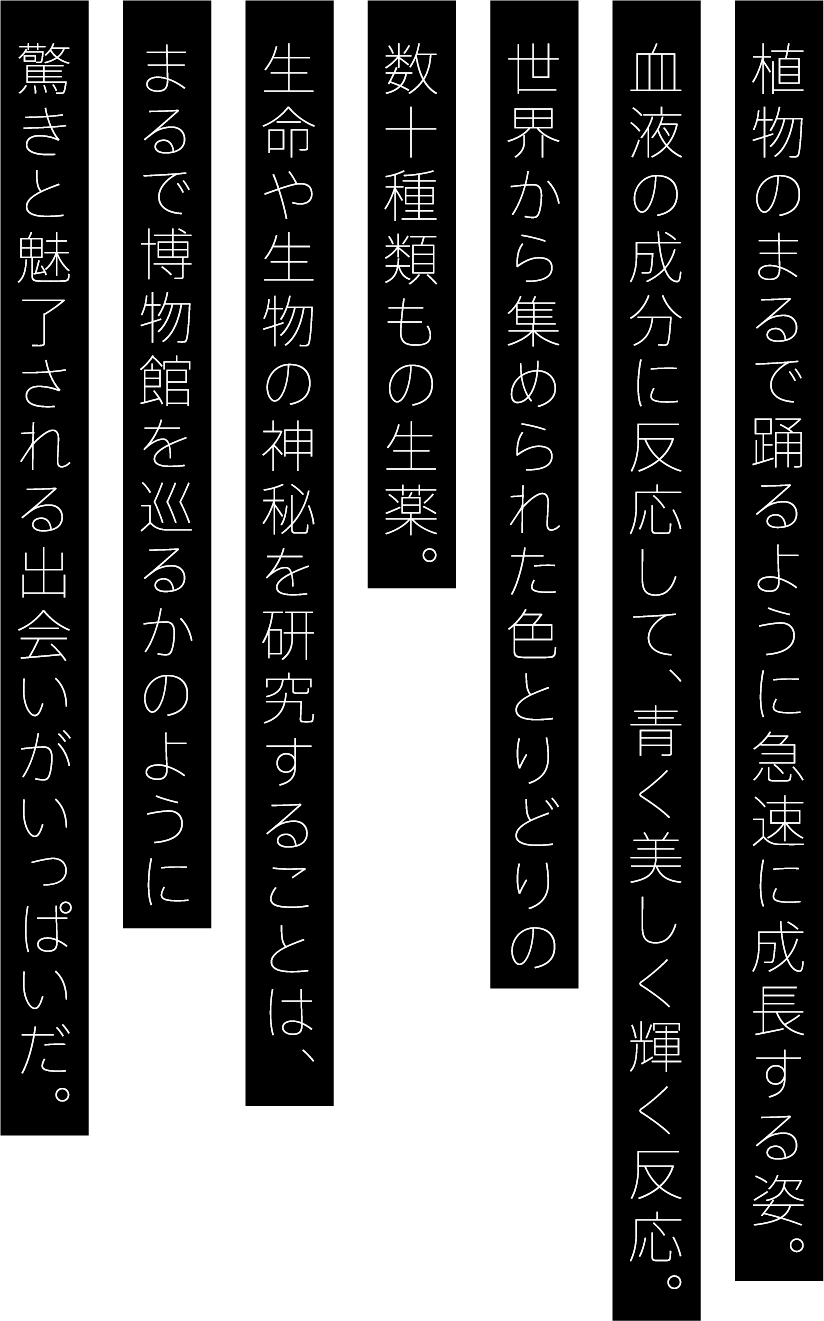 植物のまるで踊るように急速に成長する姿。血液の成分に反応して、青く美しく輝く反応。世界から集められた色とりどりの数十種類もの生薬。生命や生物の神秘を研究することは、まるで博物館を巡るかのように驚きと魅了される出会いがいっぱいだ。
