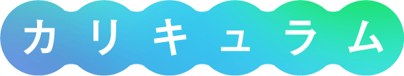 カリキュラム