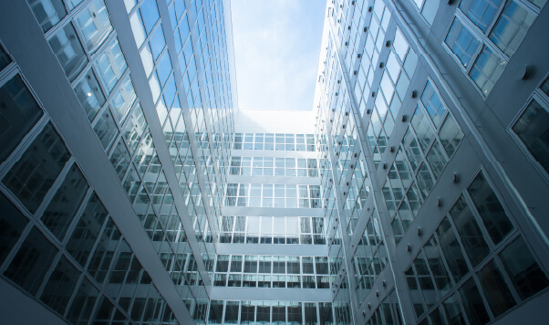 東海大学の研究力