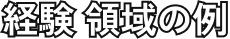 経験 領域の例
