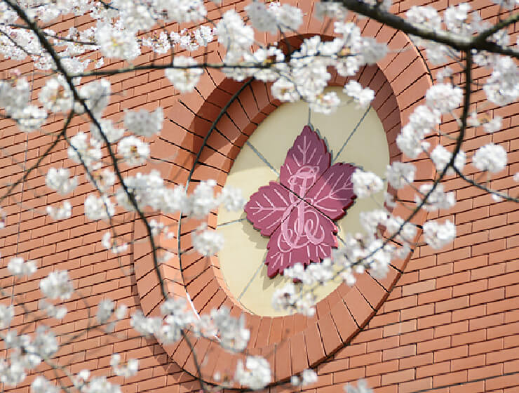 東洋英和女学院大学