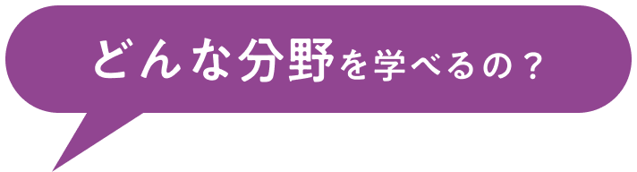 どんな分野を学べるの？