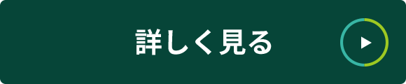 詳しく見る