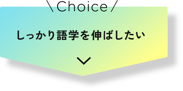 しっかり語学を伸ばしたい