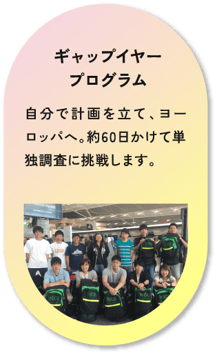 ギャップイヤー