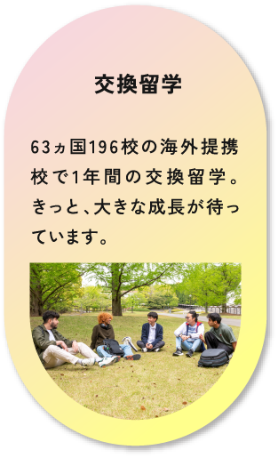 交換留学