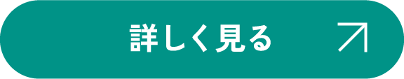 詳しく見る