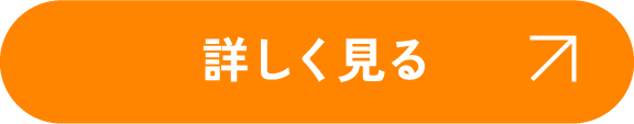 詳しく見る