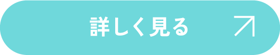 詳しく見る