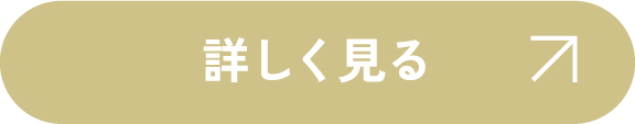 詳しく見る