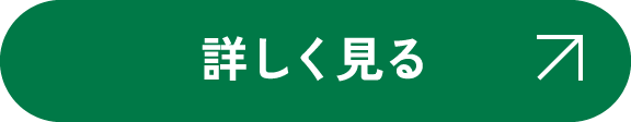 詳しく見る