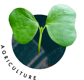 AGRICULTURE