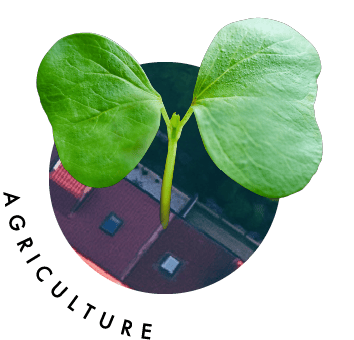 AGRICULTURE
