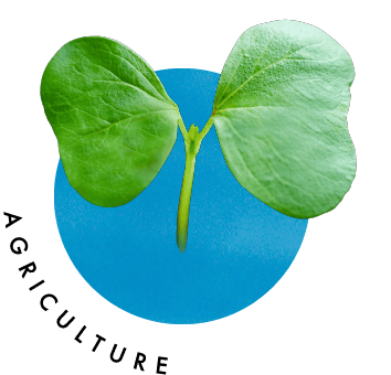AGRICULTURE