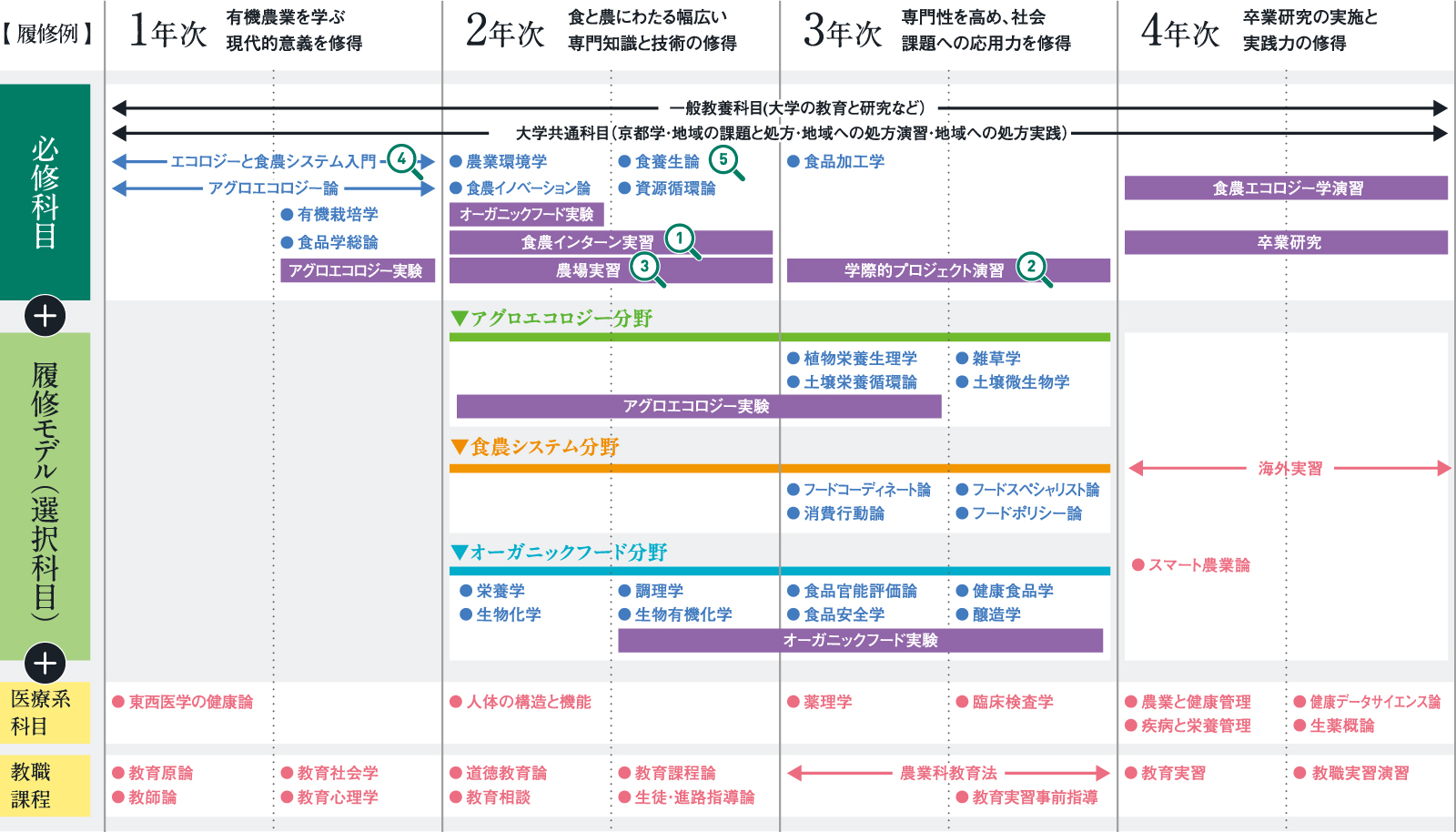4年間の流れ