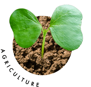 AGRICULTURE