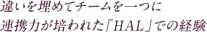 違いを埋めてチームを一つに連携力が培われた「HAL」での経験